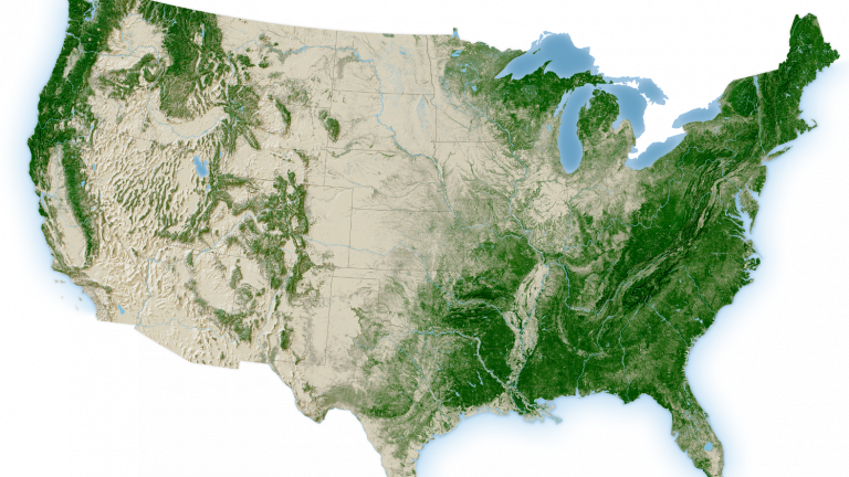 US forests canopy map