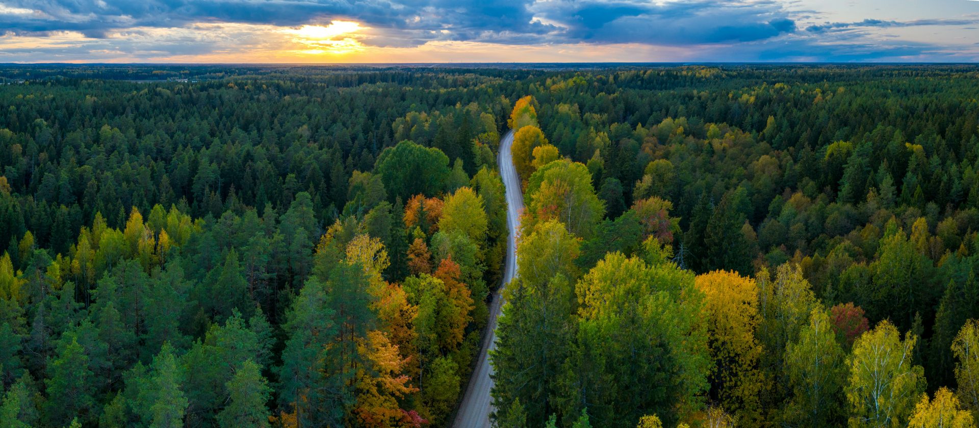 Panorama view of Latvian forest and road from above