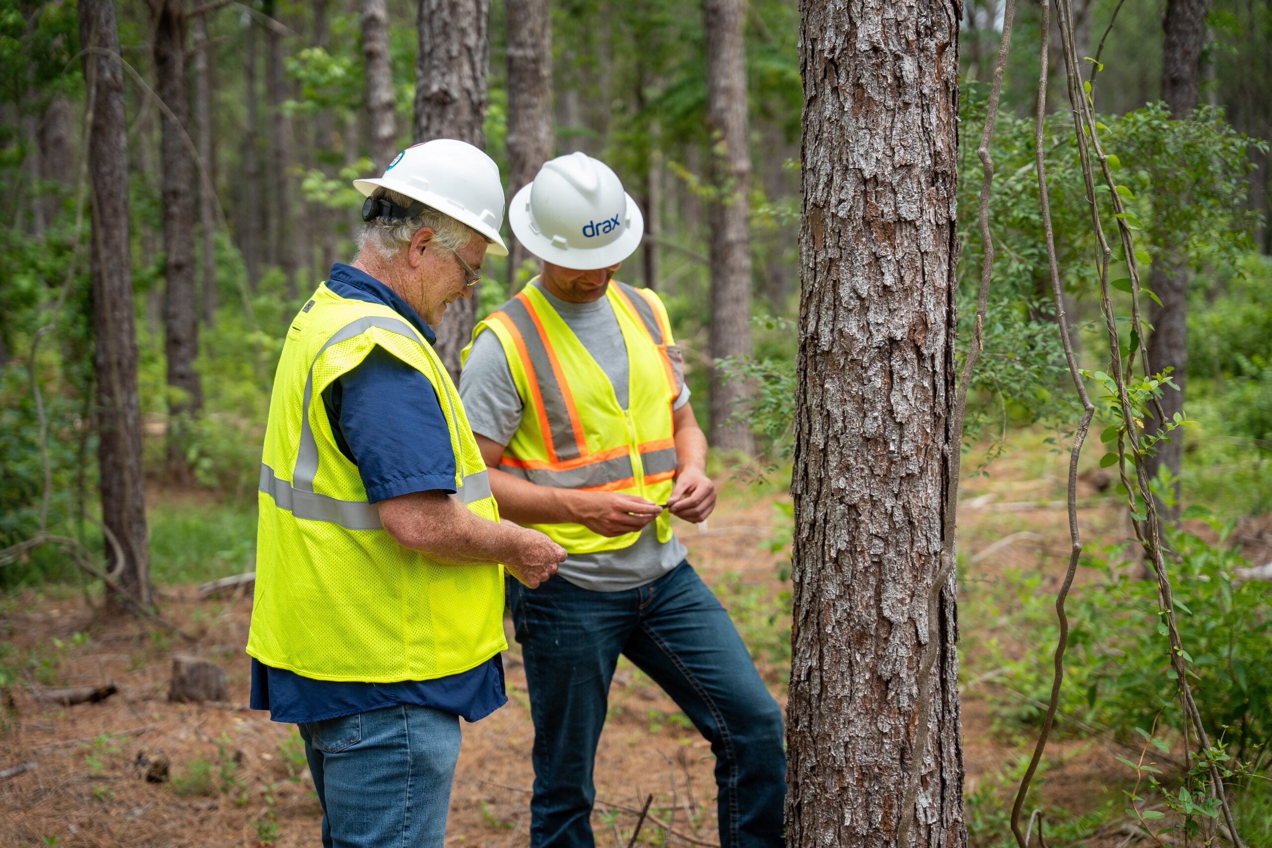 Drax workers in PPE in forest