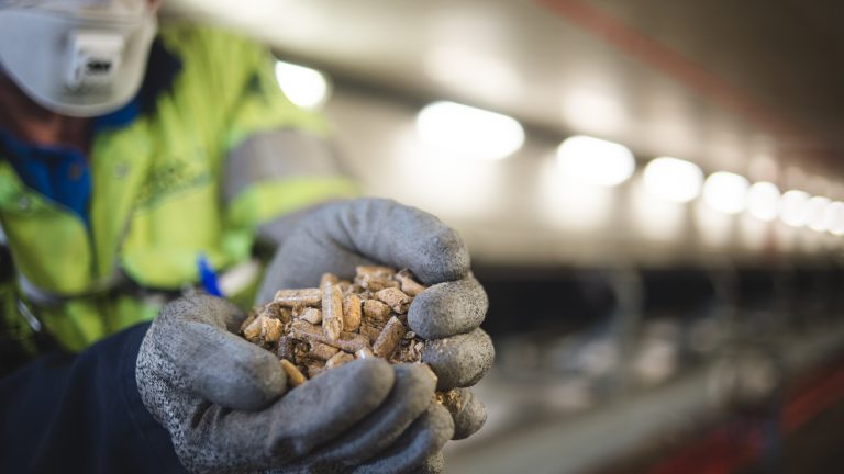 Biomass pellets in gloved hand of Drax engineer