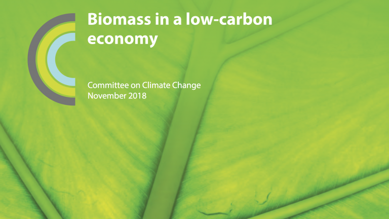 Biomass in a low carbon economy CCC 2018