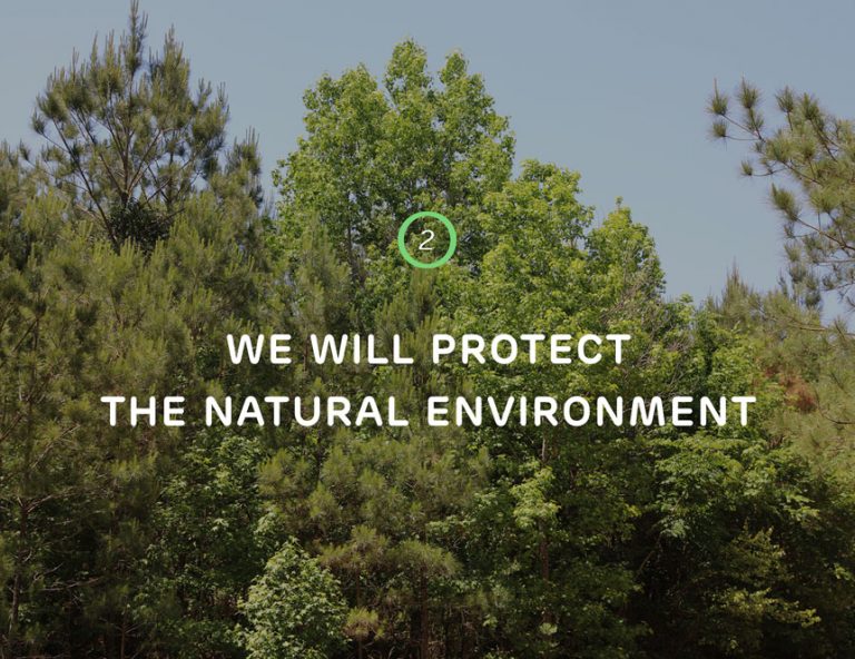 We will protect the natural environment