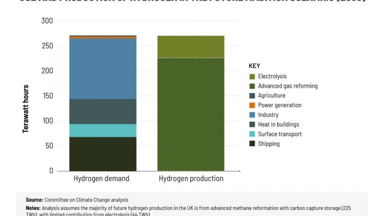 Use and production of hydrogen in the future ambition scenario (2050)