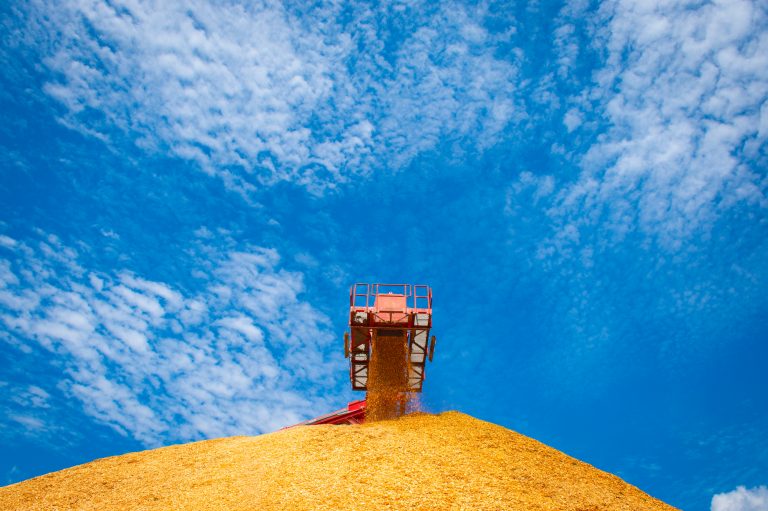 Woodchips and sawmill residue at Drax LaSalle Bioenergy in Louisiana, September 2019