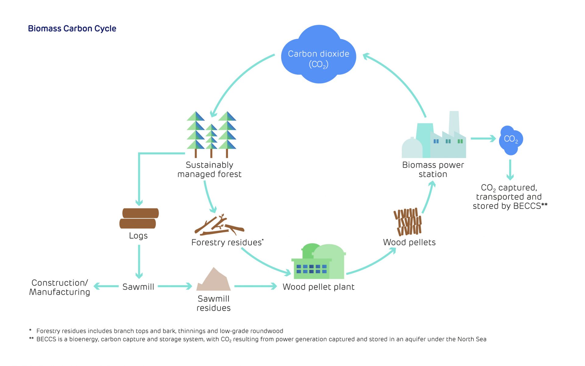 Biomass carbon cycle illustration (for web)