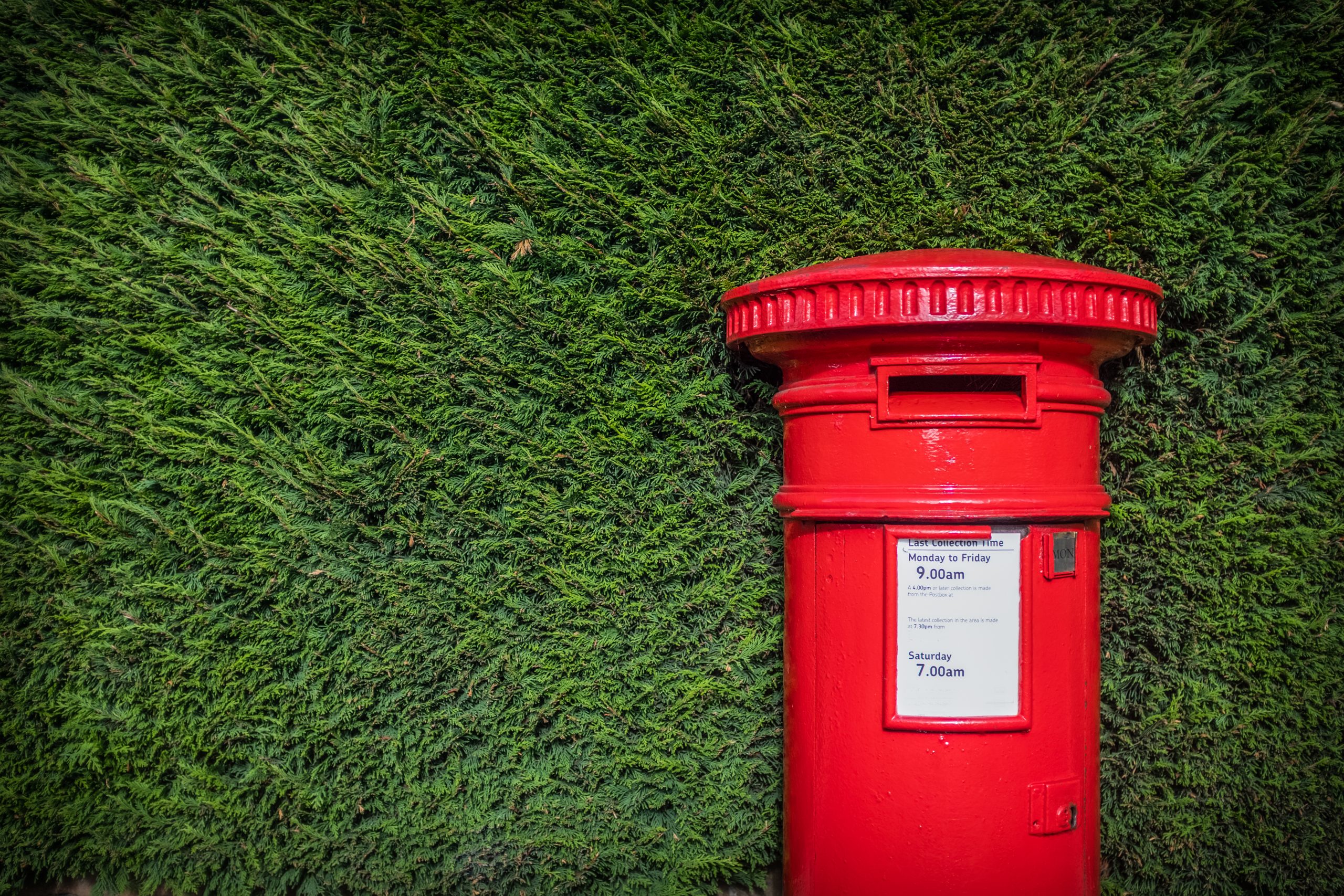 Red British post box set against a hedgerow