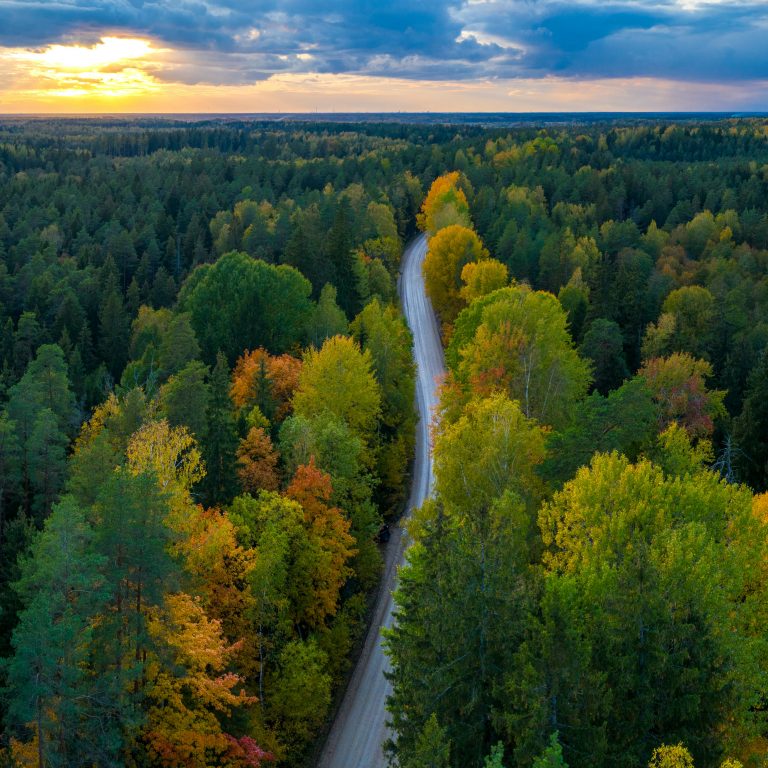 Panorama view of Latvian forest and road from above