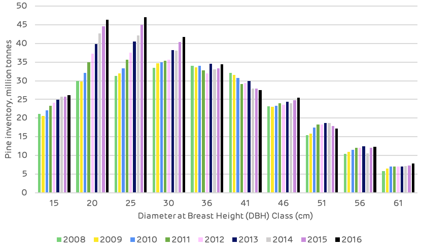 Historic pine inventory by DBH (diameter at breast height) class