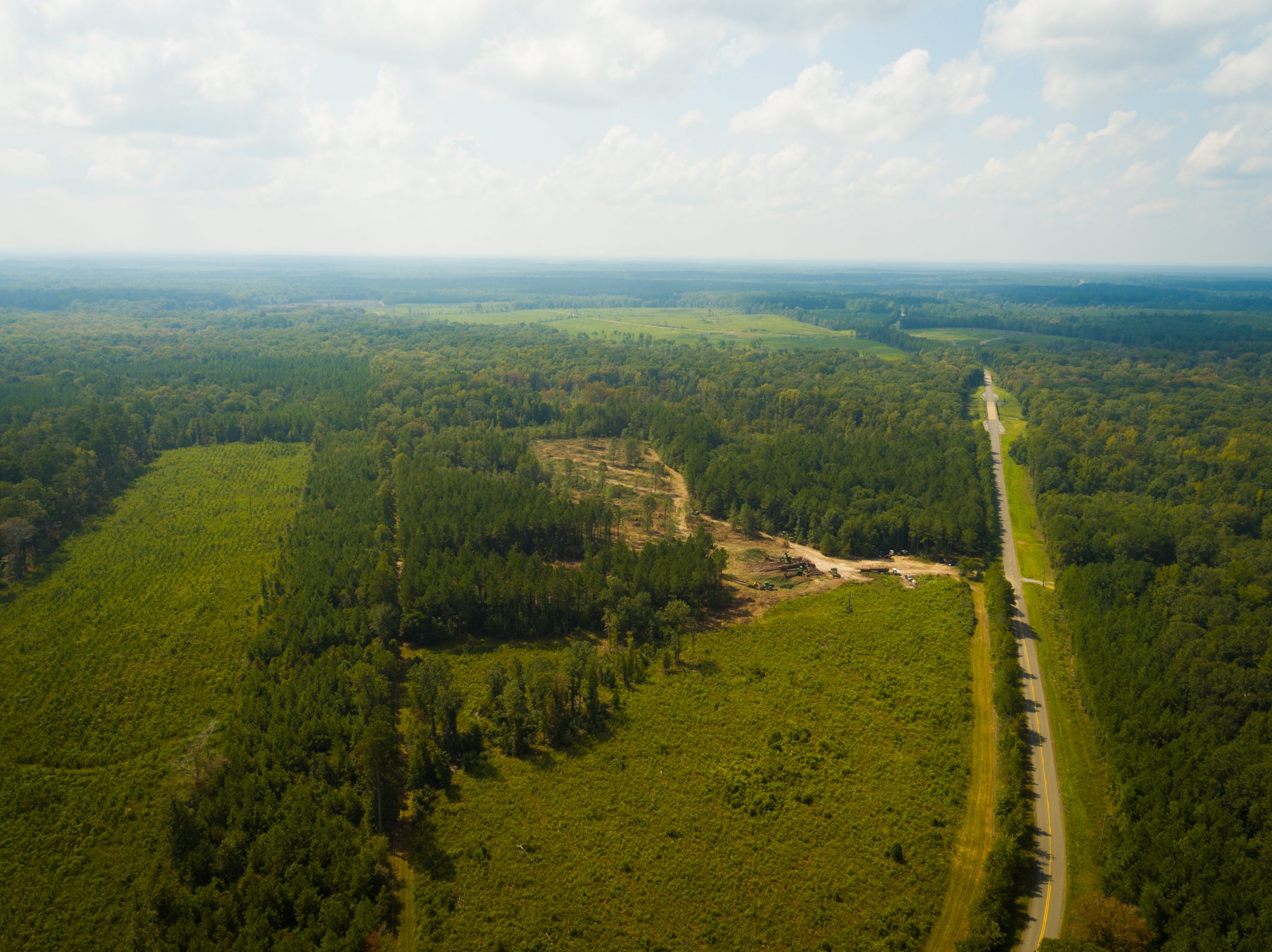 Forest in LaSalle catchment area