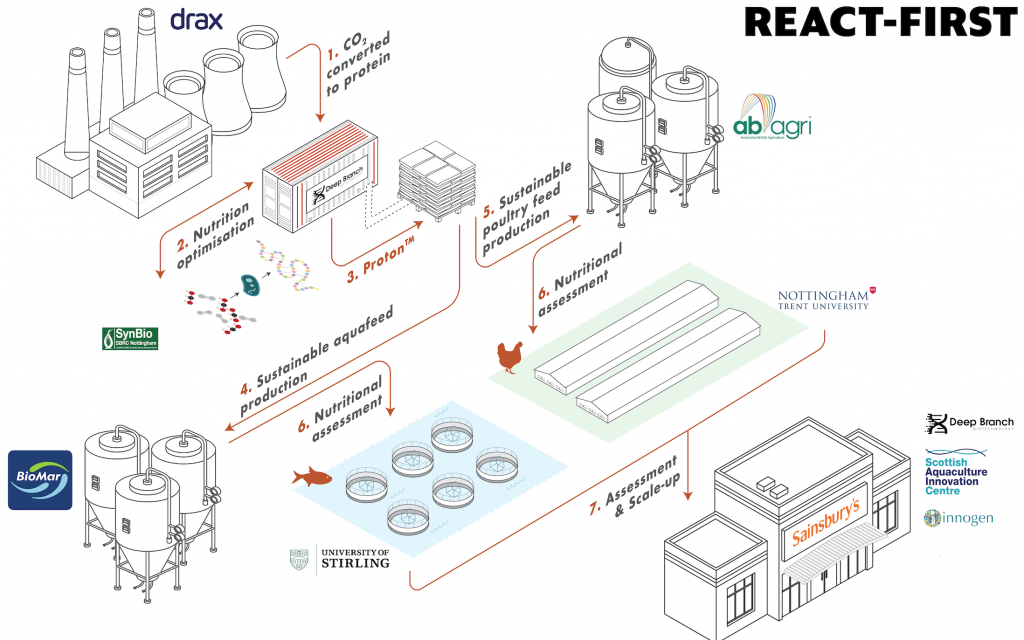 (Infographic): Led by Deep Branch and utilising the unique resources available to each of the project partners, REACT-FIRST provides both technological and commercial innovation for aquaculture and poultry production.