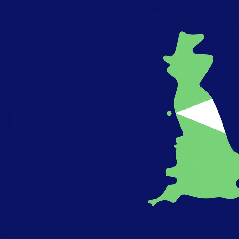 Look North, Capture it