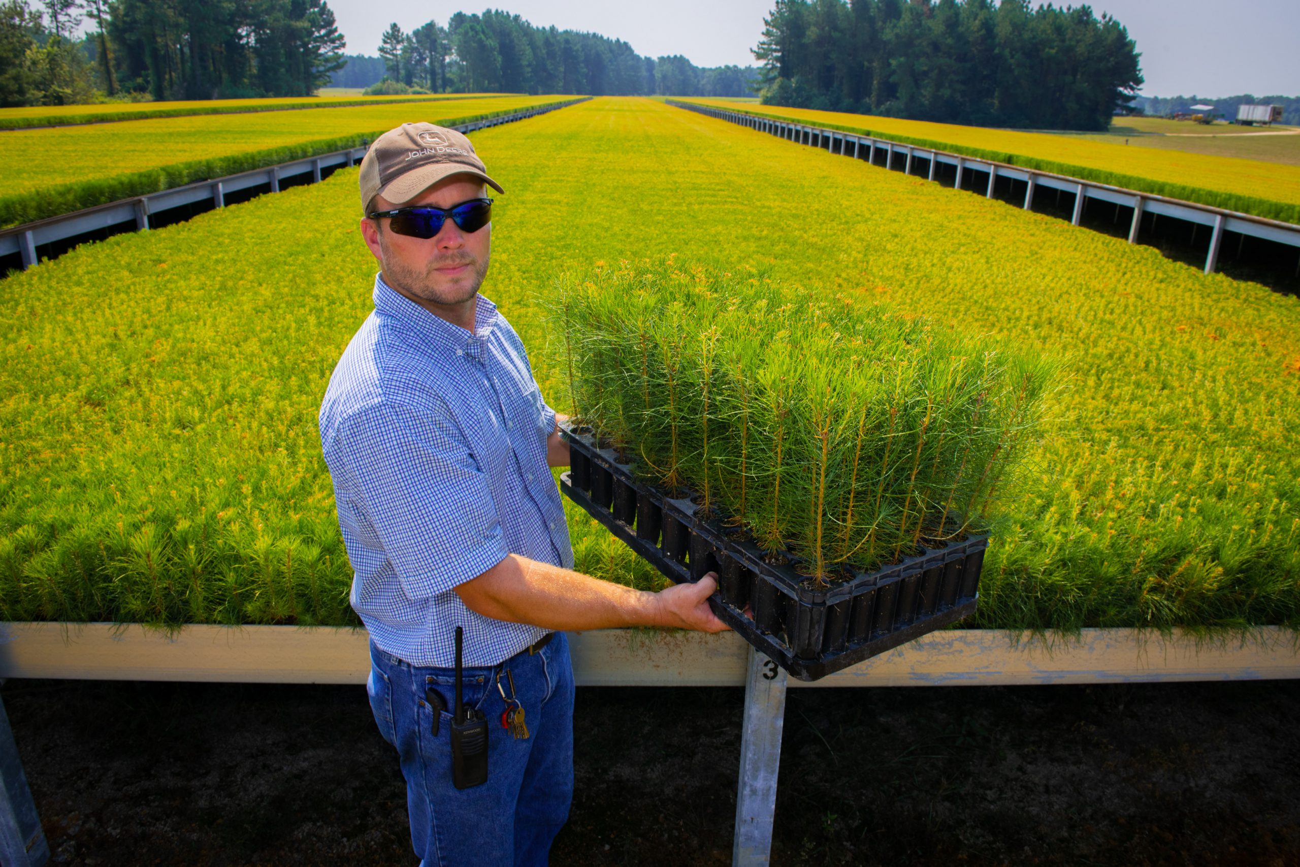 Tree nursery in Mississippi