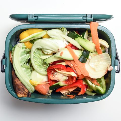 Food waste recycling bin in a kitchen