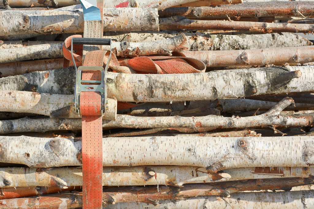 Trees locked up in a bundle