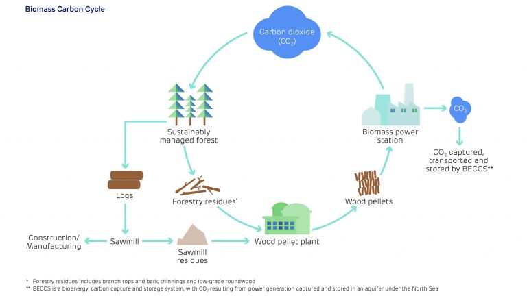 Biomass carbon cycle illustration (for web)