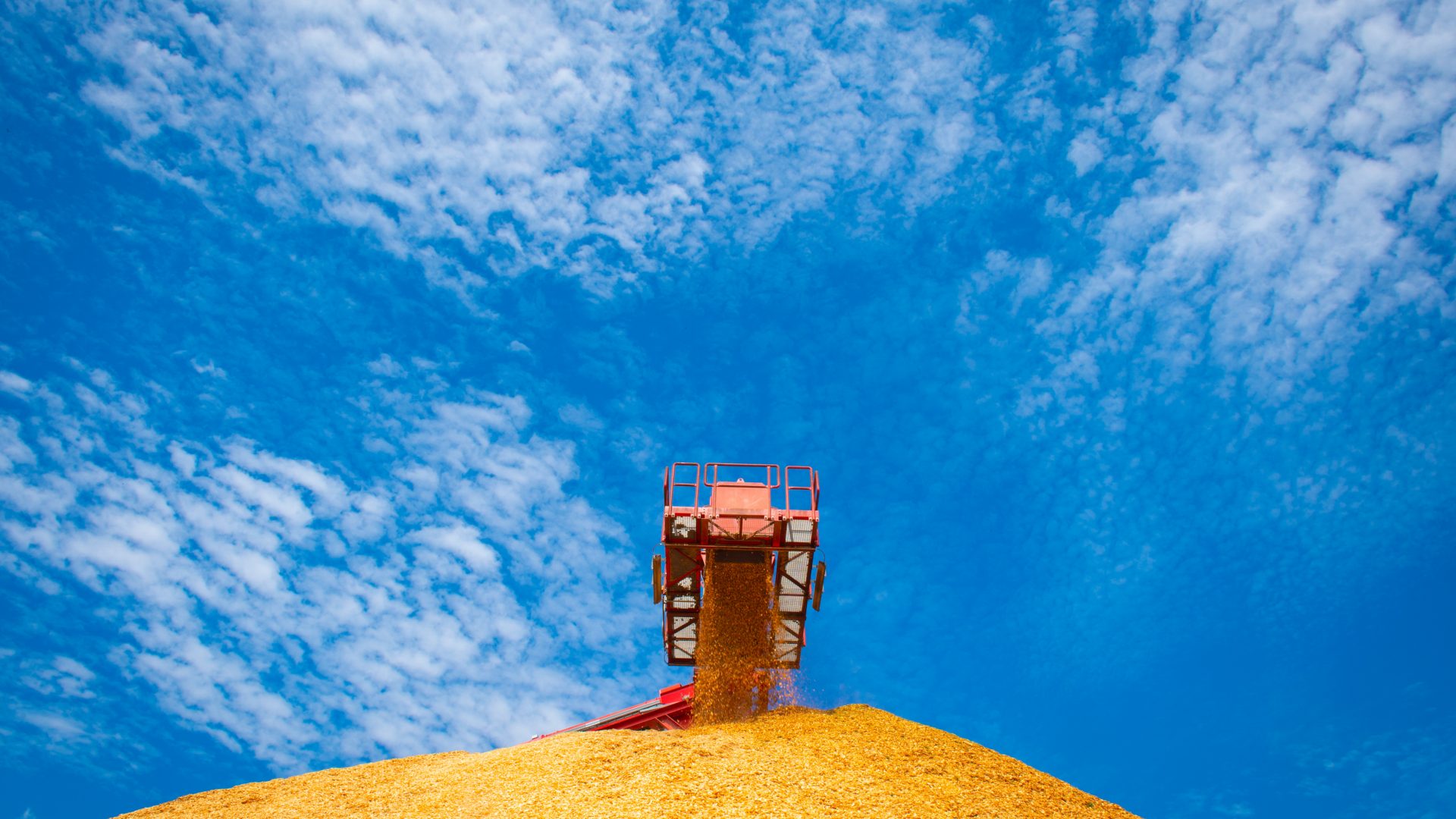 Sawmill residues used to manufacture sustainable biomass wood pellets at LaSalle BioEnergy in Louisiana.