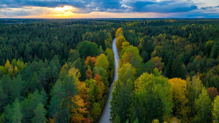 Panorama view of Latvian forest and road from above