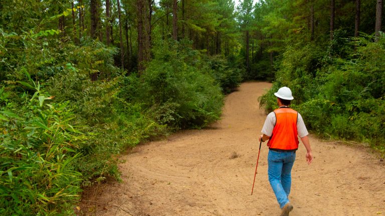 Weyerhaeuser working forest in Amite catchment area