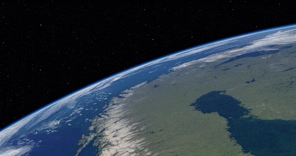 Satellite view of the Earth's forests