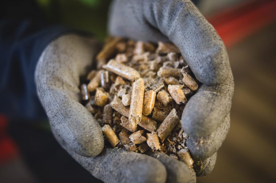9 steps to making a compressed wood pellet Drax US