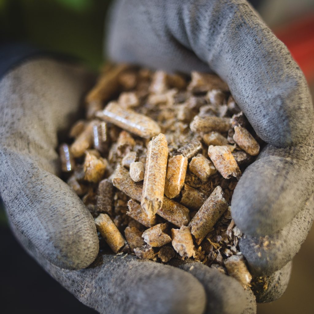 This Is How You Make A Biomass Wood Pellet Drax