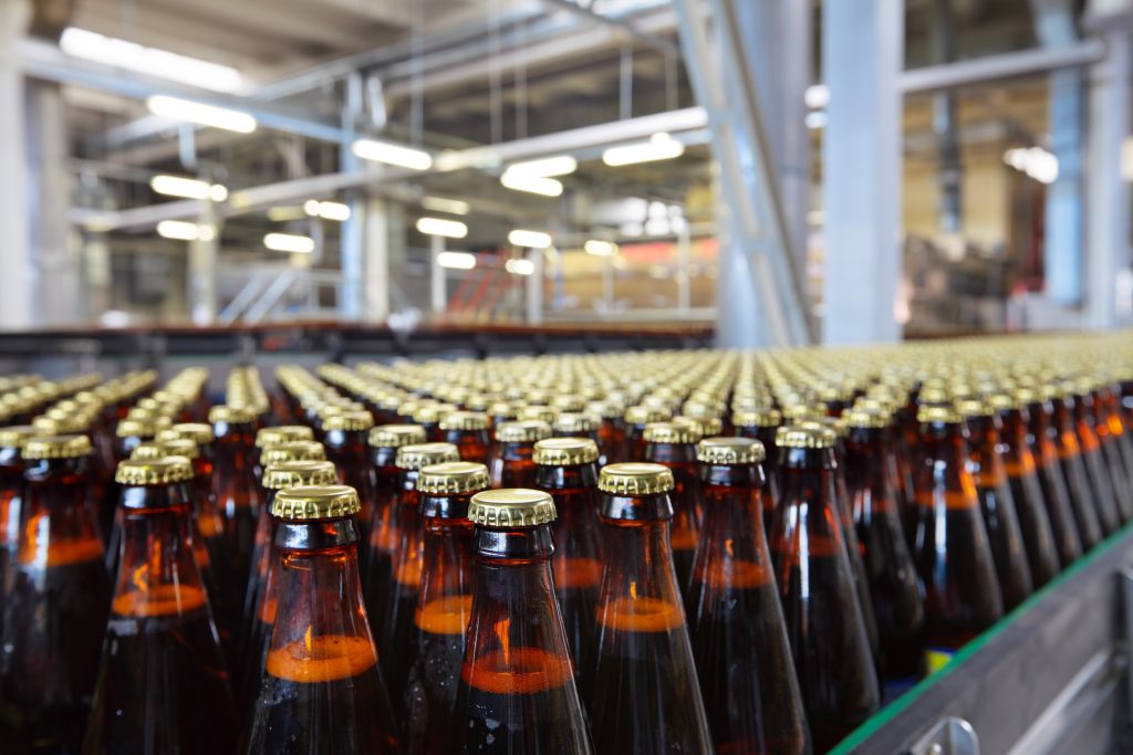 The food industry. Glass beer bottles moving on conveyor