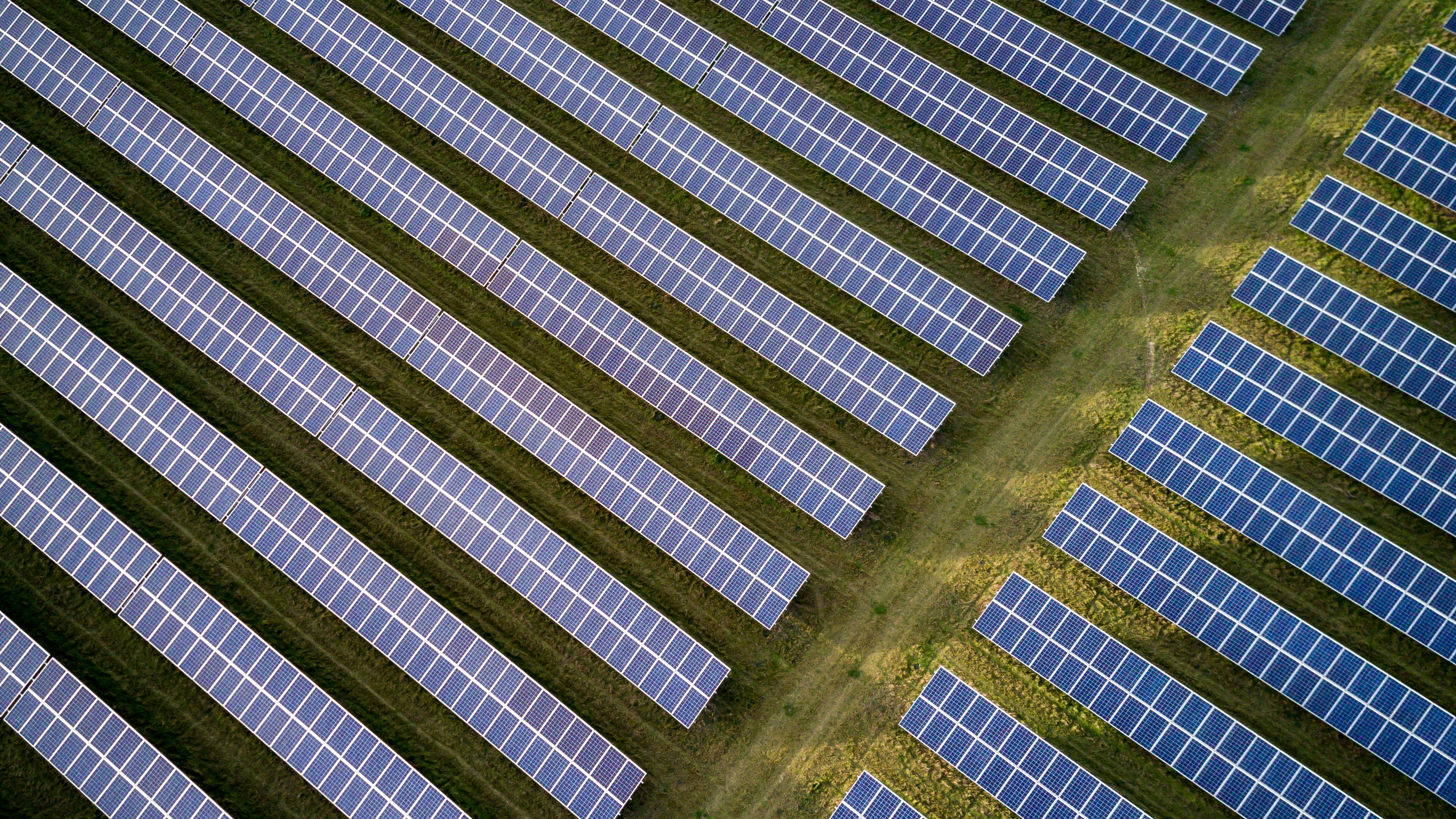 Field of solar panels shot from above