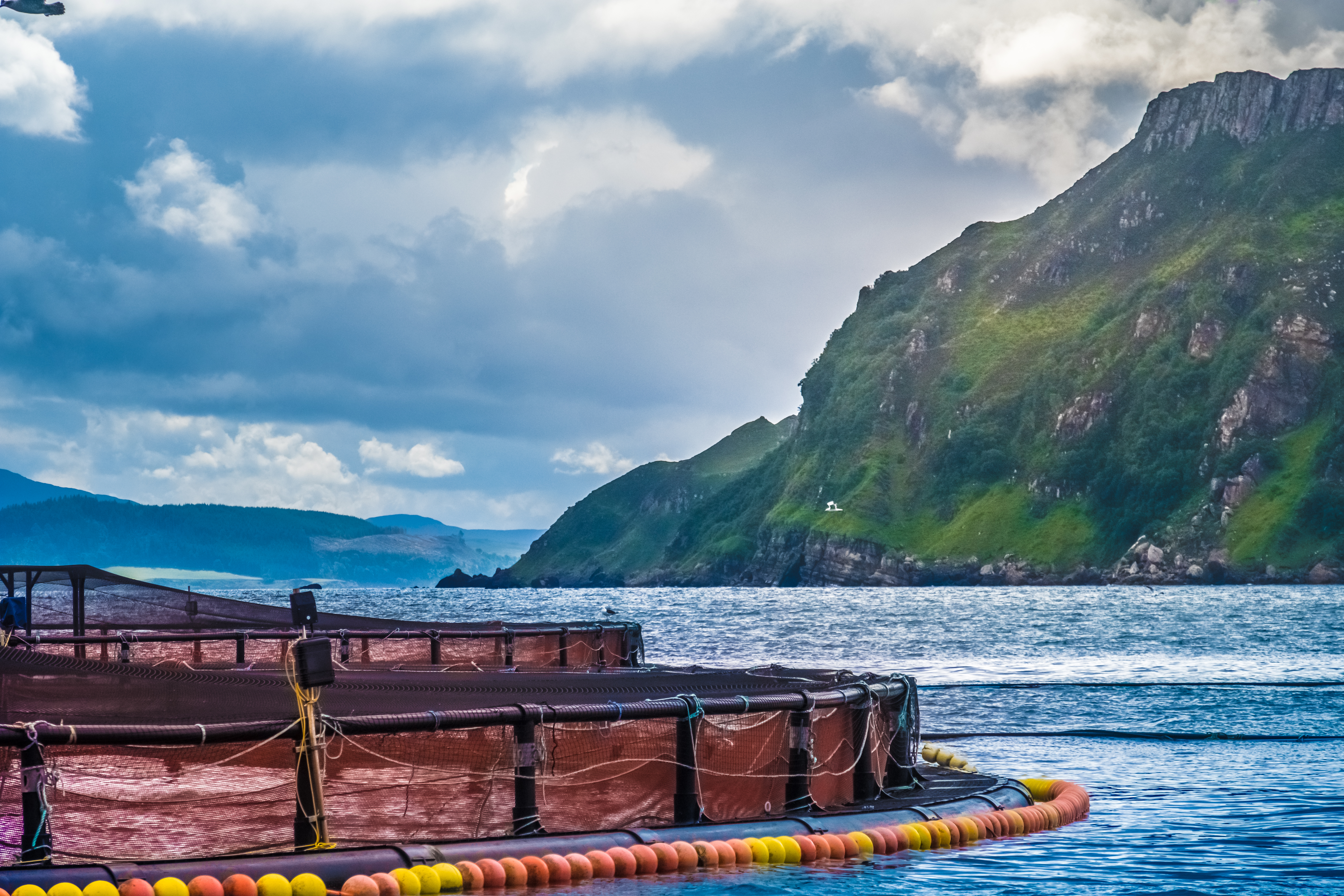 Salmon fish farm pools in the see lochs near Portree, Sound of Raasay, Isle of Skyue, Highlands of Scotland