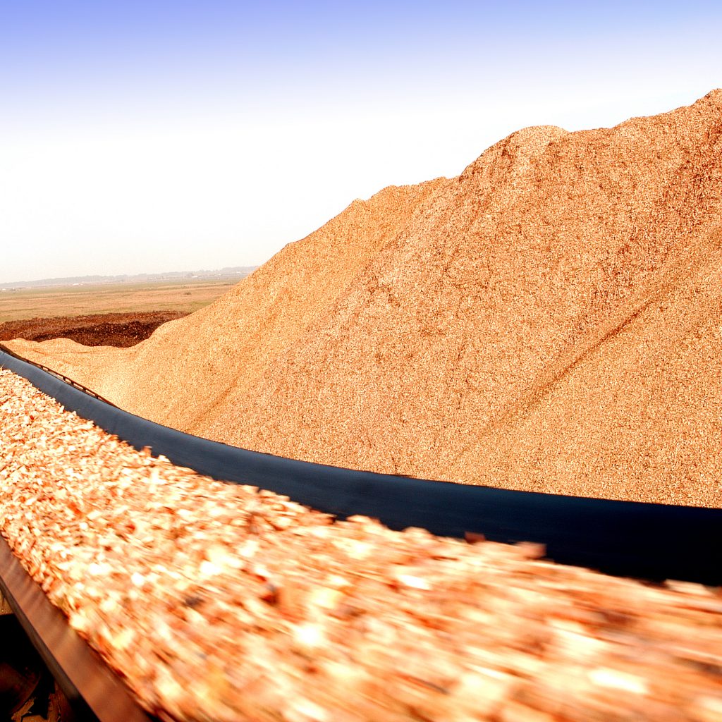 Woodchips on a conveyor at a wood pellet plant
