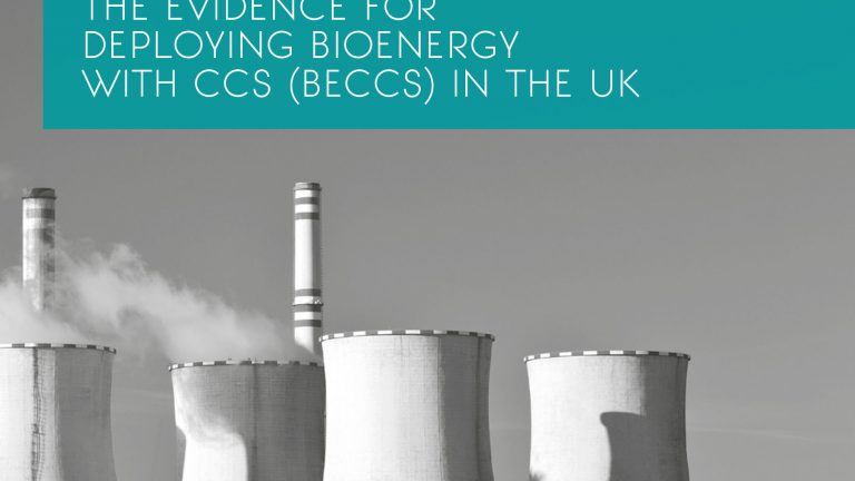The Evidence for Deploying Bioenergy with CCS in the UK