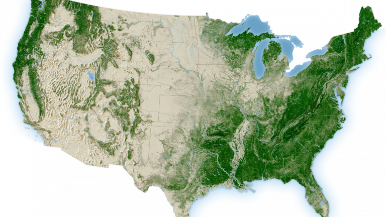 US forests canopy map