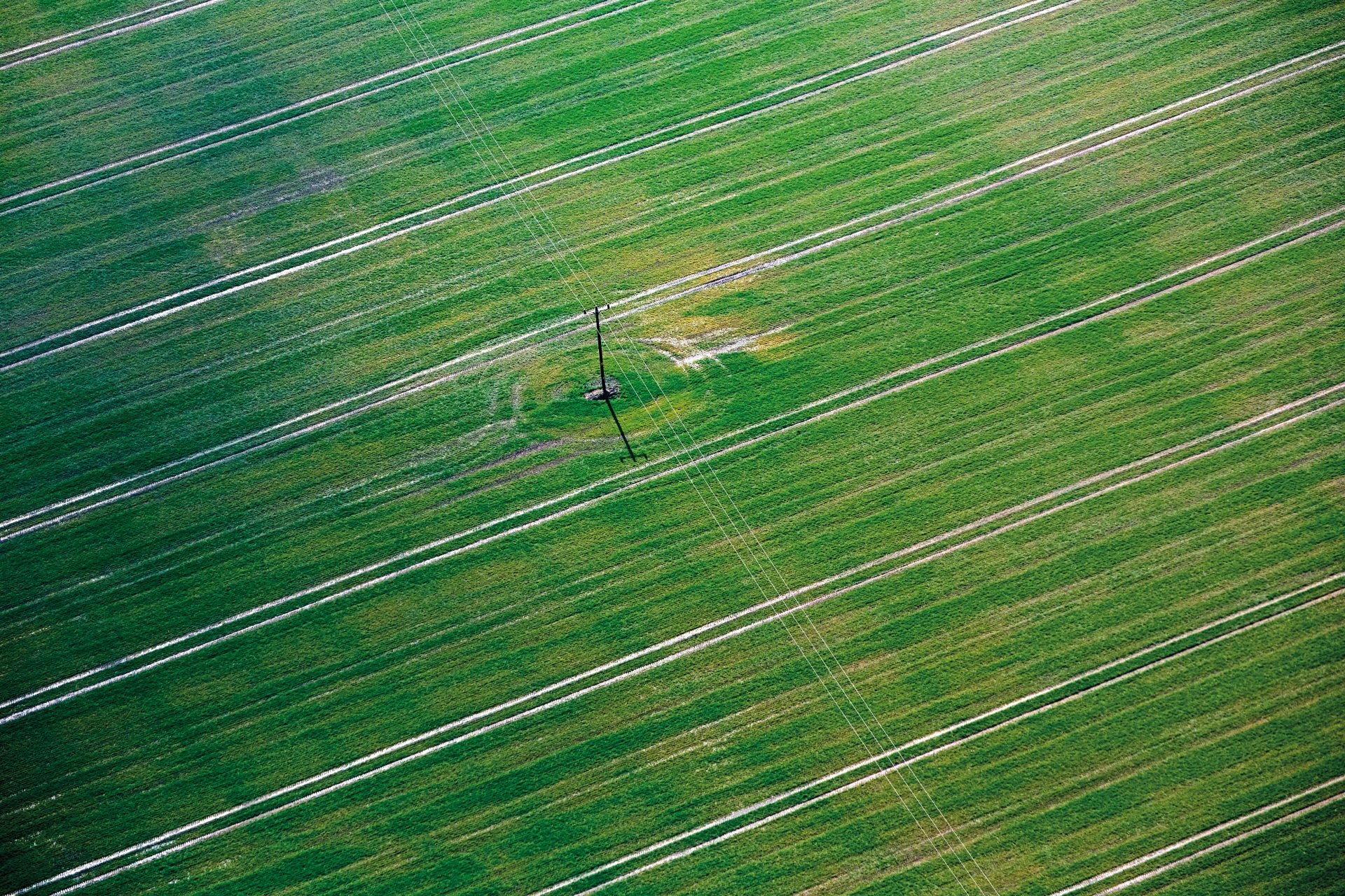 Birds eye view of green fields and pylons