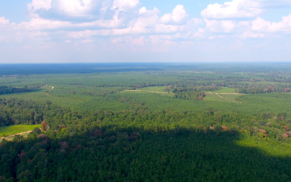 Working Forests in the US South