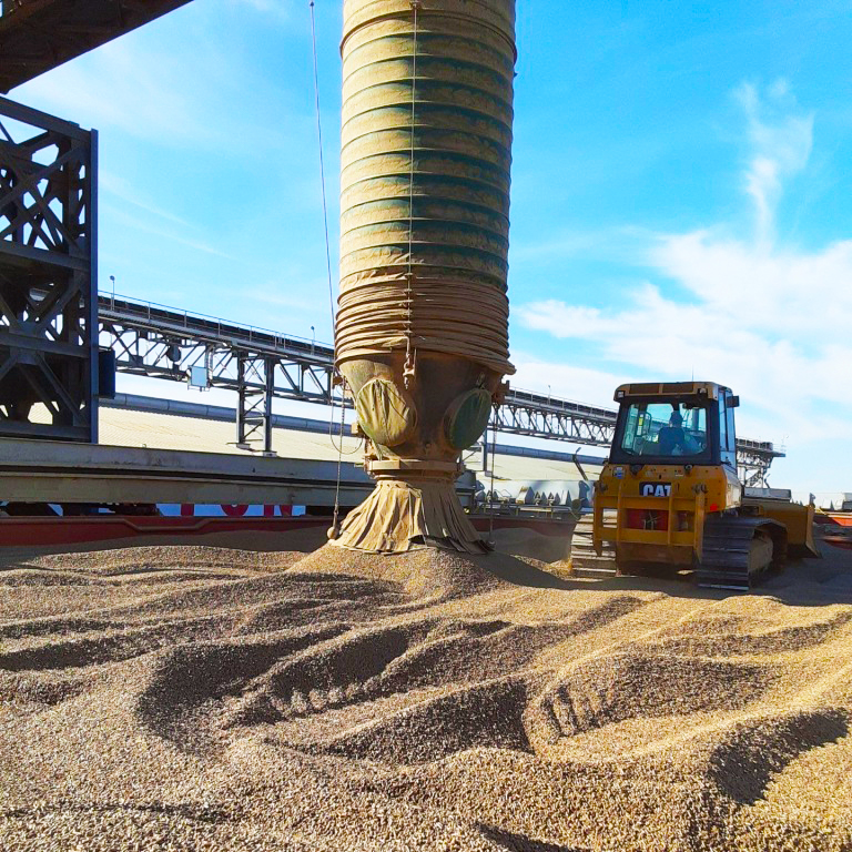 Tractor preparing biomass wood pellets for shipment after loading onto the Zheng Zhi bulk carrier vessel at the Port of Greater Baton Rouge, Louisiana, in February