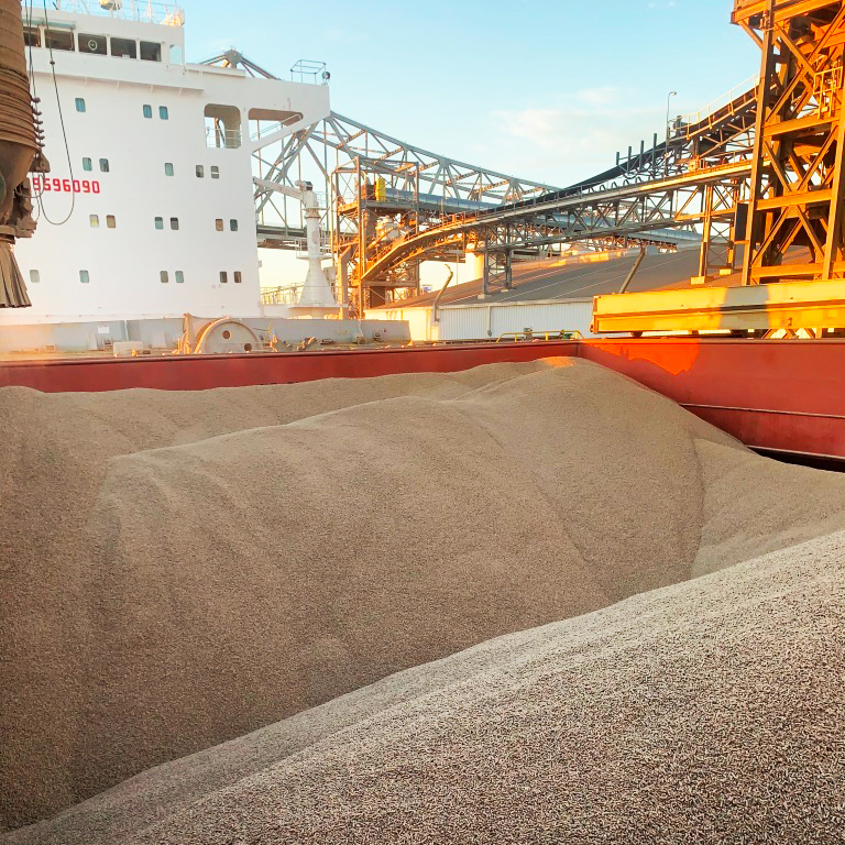 Biomass wood pellets on the Zheng Zhi bulk carrier