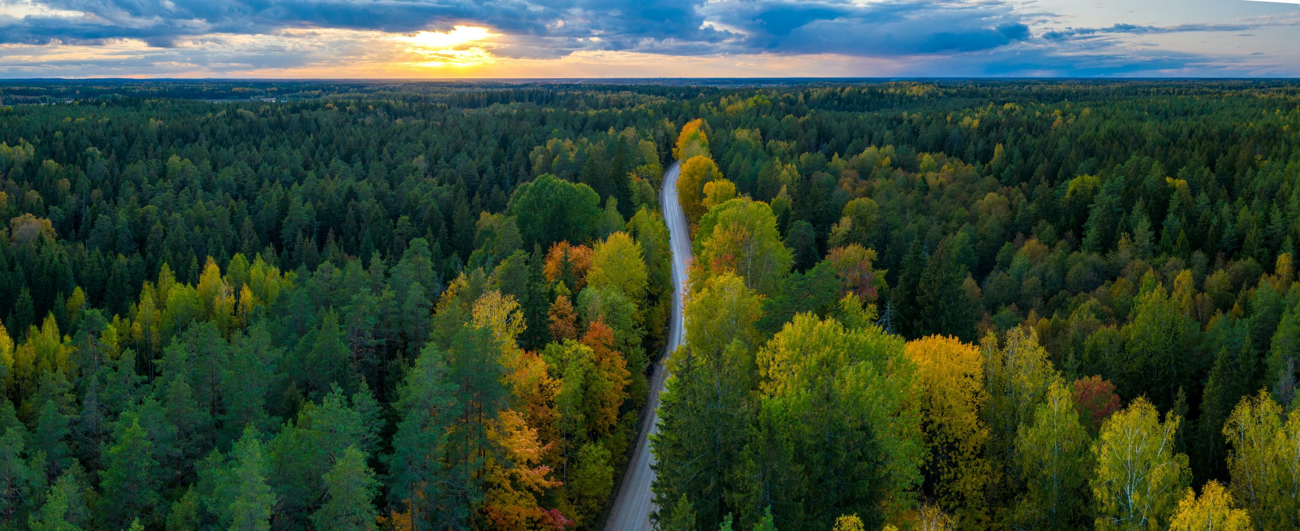 Panorama view of Latvian forest and road from above