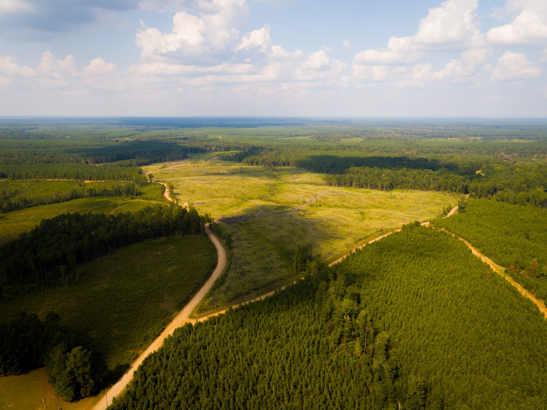 LaSalle Forest