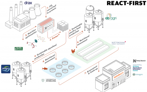 (Infographic): Led by Deep Branch and utilising the unique resources available to each of the project partners, REACT-FIRST provides both technological and commercial innovation for aquaculture and poultry production.