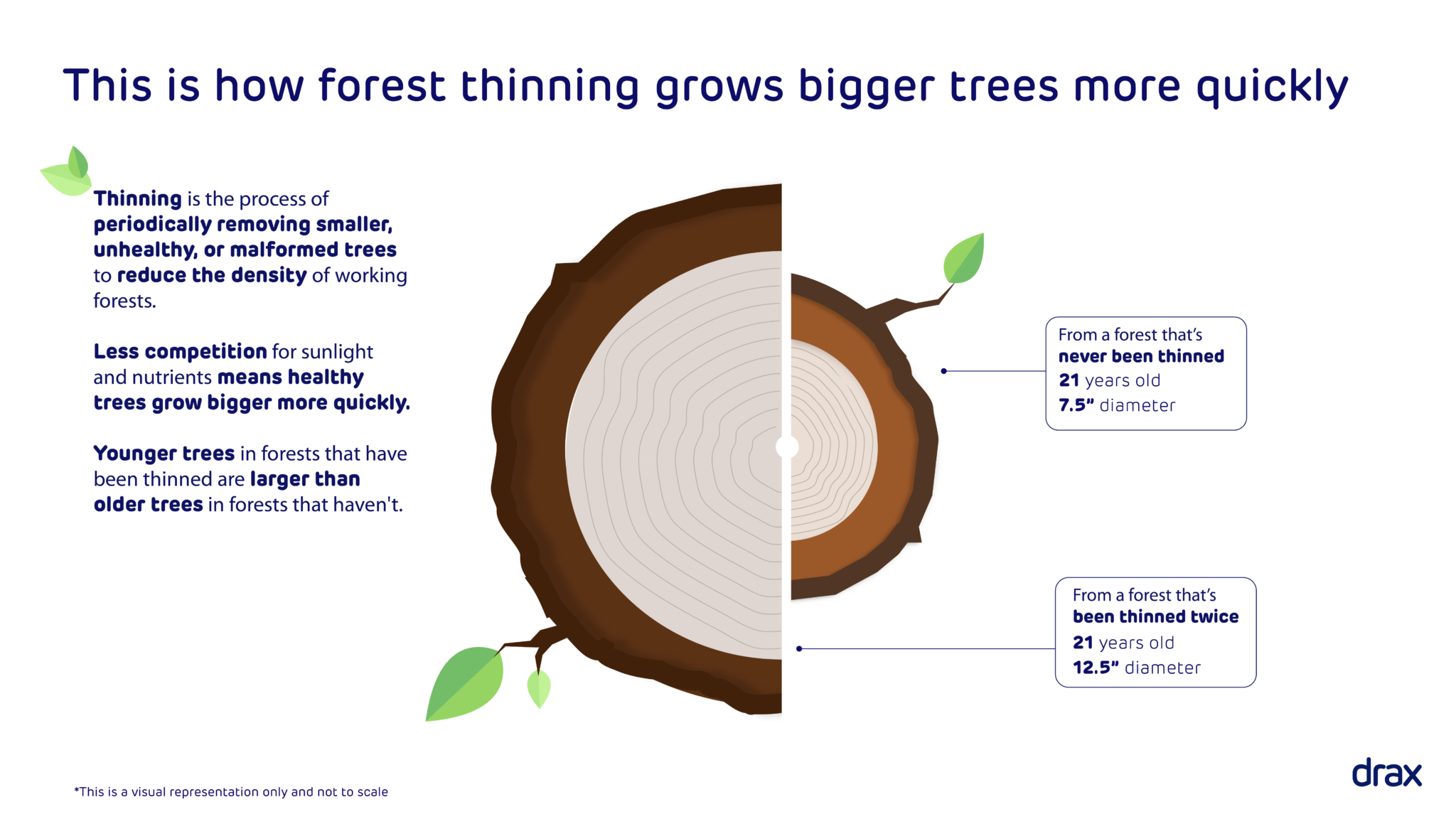 The key to sustainable forests? Thinking globally and managing locally ...