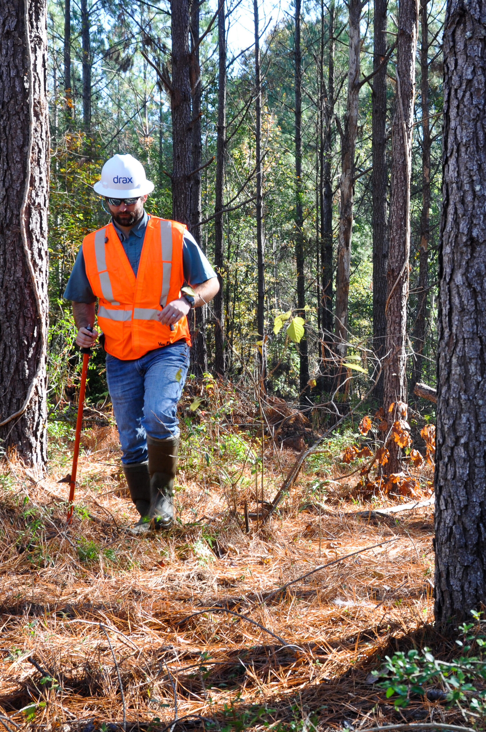 Drax worker in US South forest