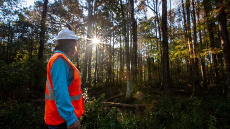 Worker in PPE standing in forest