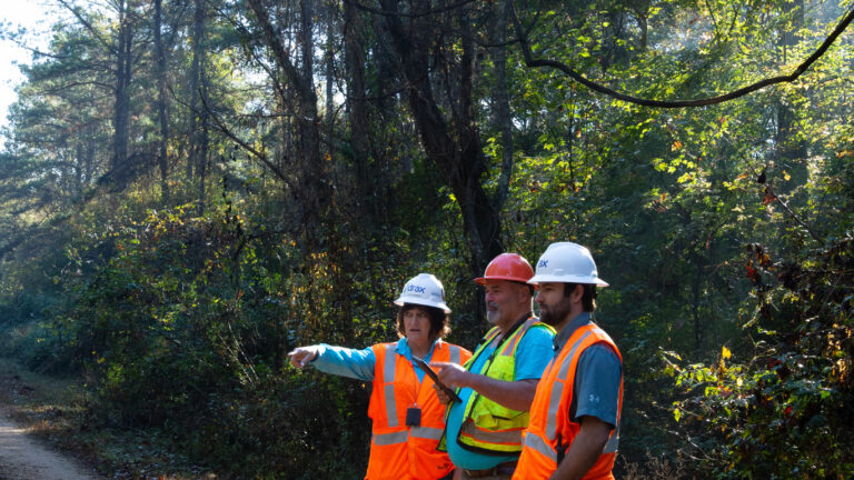 Drax workers in forest